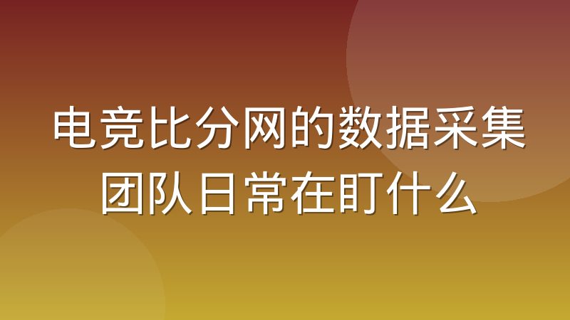 电竞比分网的数据采集团队日常在盯什么